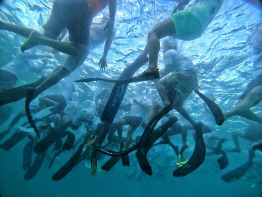 Freediving world record Maldives